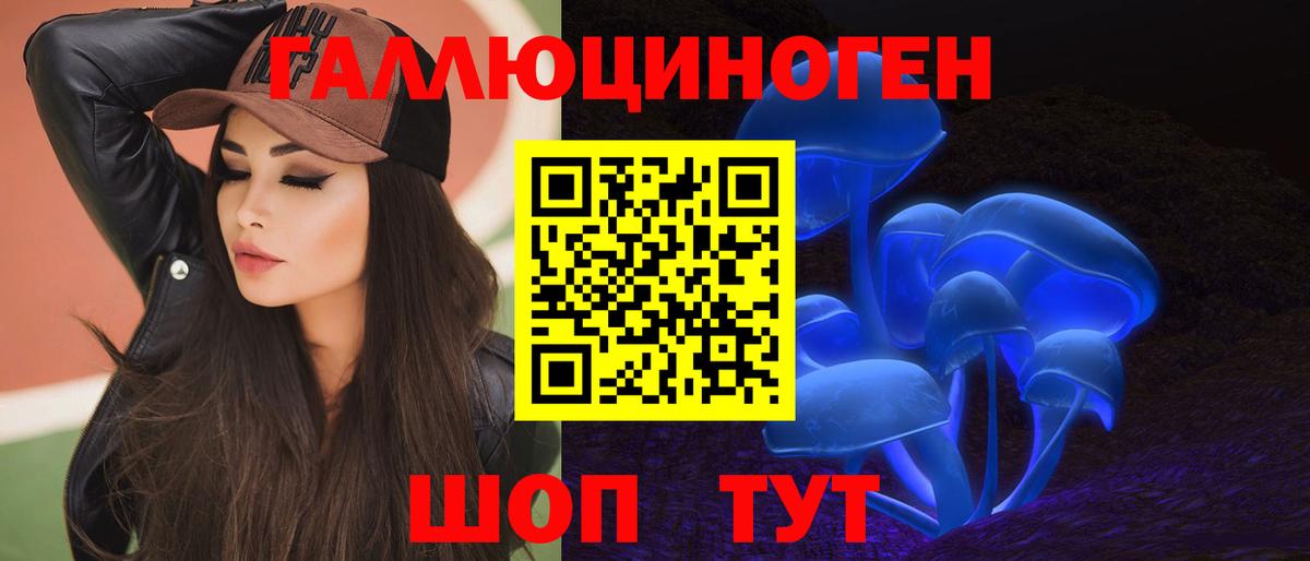 Псилоцибиновые грибы Cubensis Павлово